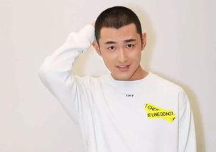 娱乐圈爆料王彦霖,娱乐圈爆料王，揭秘明星幕后故事