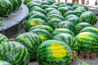 吃瓜高校网红,吃瓜群众眼中的校园风云