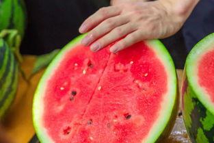 吃瓜高校网红,吃瓜群众眼中的校园风云