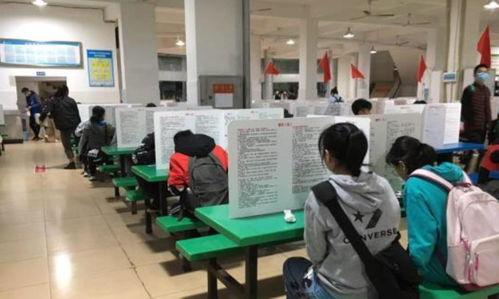 中学食堂爆料案例视频播放,揭秘校园食堂食品安全问题