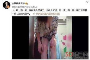 卓伟爆料马苏视频去哪看,揭秘观看途径