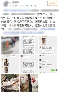 杭州杨女士最新爆料,揭秘某事件背后惊人真相