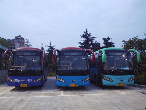 诸暨公交车爆料事件最新,真相与反思