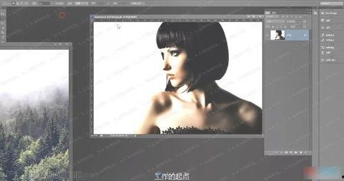 爆料视频拍摄技巧有哪些,轻松捕捉热点瞬间