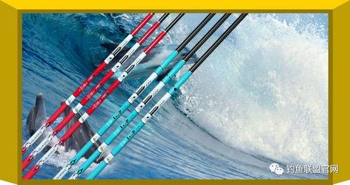 最新鱼竿爆料网站,揭秘最新科技与设计革新