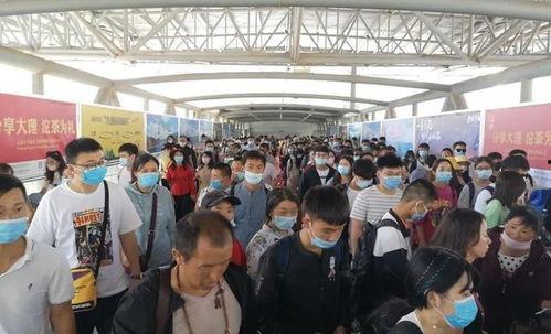 大理火车站最新爆料新闻,最新爆料揭示未来交通枢纽新面貌