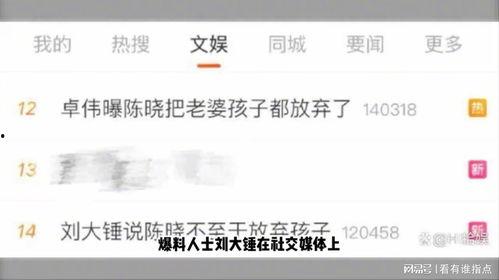 刘大锤收钱爆料视频大全,揭秘娱乐圈幕后真相