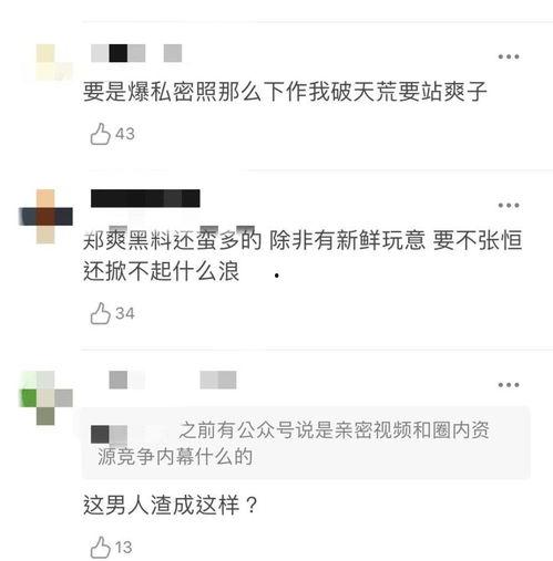 张恒爆料邓爽视频大全,揭秘娱乐圈背后的秘密