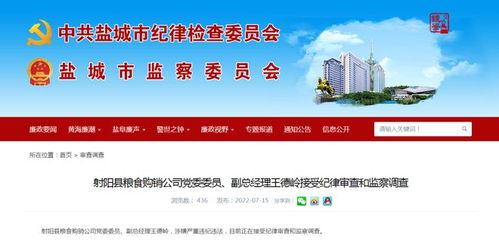 江苏盐城最新爆料,揭秘神秘事件背后的真相