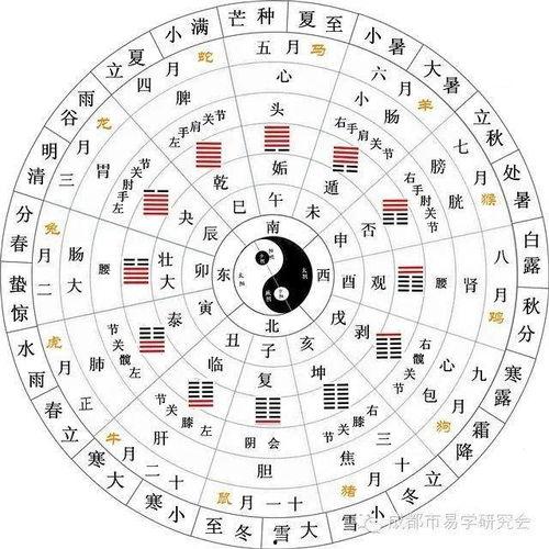 最新八卦爆料益阳天气,八卦爆料揭示最新天气奇观！”