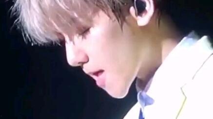 粉丝爆料边伯贤视频大全,精彩瞬间全收录