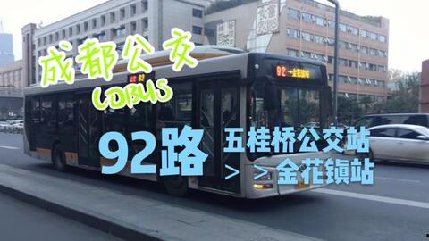 成都公交车站爆料新闻,惊险一幕引关注