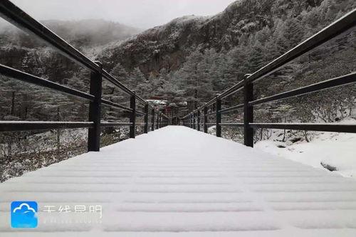 昆明爆料下雪视频,市民欢声笑语迎瑞雪