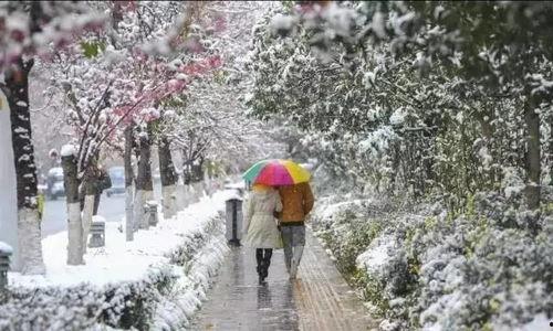 昆明爆料下雪视频,市民欢声笑语迎瑞雪