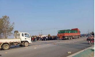 杞县车祸最新爆料蒜车,悲剧现场直击，真相渐浮水面