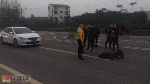 杞县车祸最新爆料蒜车,悲剧现场直击，真相渐浮水面