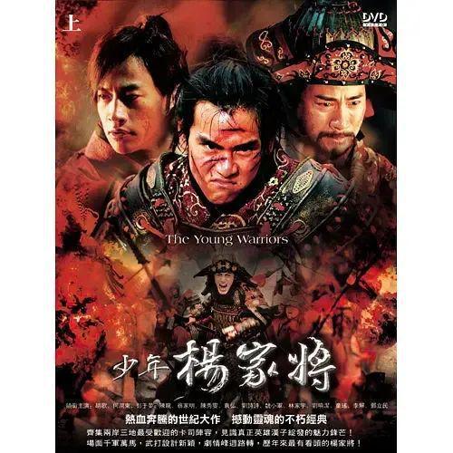 少年杨家将电视剧全集在线观看,热血青春，英勇抗敌，全集在线观看