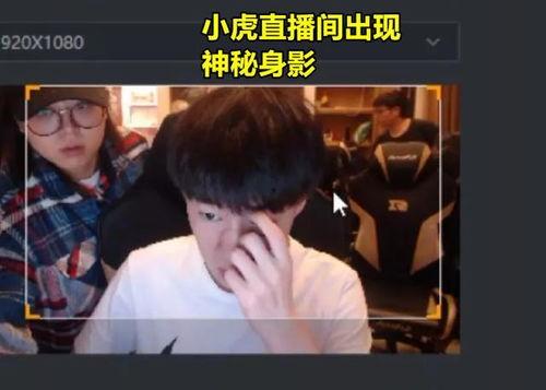 奇哥呆呆互相爆料视频,揭秘娱乐圈背后的秘密与笑料