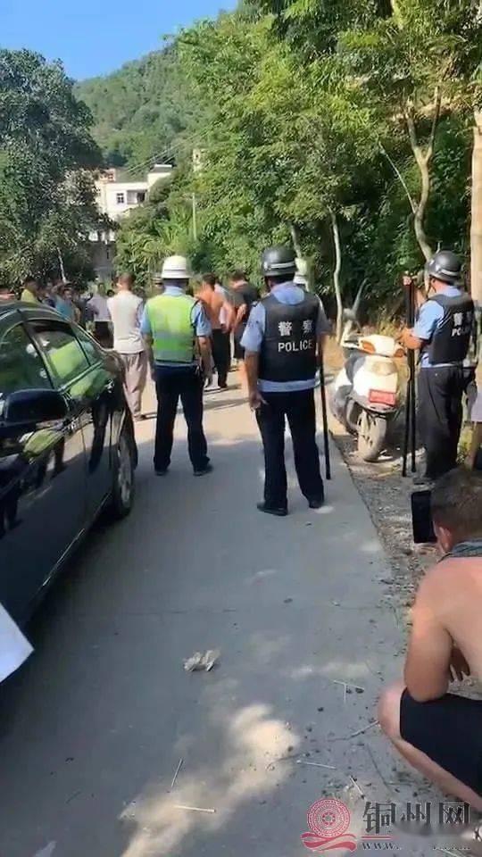 王庄最新爆料事件,揭秘事件背后惊人真相