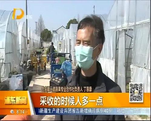 八村最新爆料新闻视频,揭秘背后惊人真相！