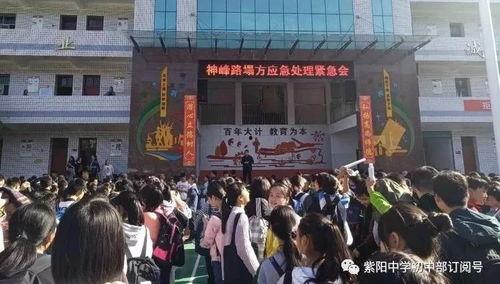 滦南一中爆料事件视频播放,视频揭露惊人真相