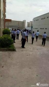 滦南一中爆料事件视频播放,视频揭露惊人真相