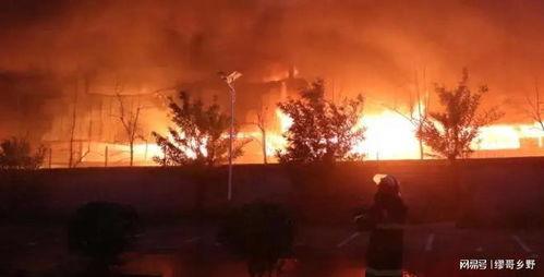 台儿庄金币爆料事件视频,揭秘历史珍宝背后的神秘故事