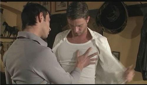 同志video在线观看,探索多元情感世界的视觉之旅