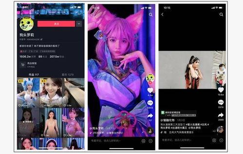 呆呆的爆料视频大全,揭秘娱乐圈幕后真相