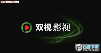 双视在线观看,全景视角，尽享视听盛宴