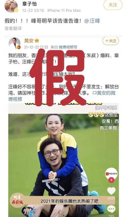 香港吃瓜爆料视频大全集,视频大全集精彩瞬间回顾