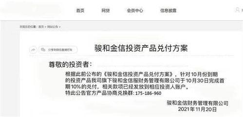 合金最新爆料消息图片,神秘图片揭示未来科技融合新篇章