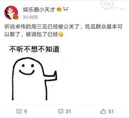 去年卓伟爆料视频大全最新,揭秘娱乐圈风云变幻