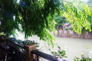 吃瓜娱乐间江南,吃瓜娱乐间里的时尚潮流风向标