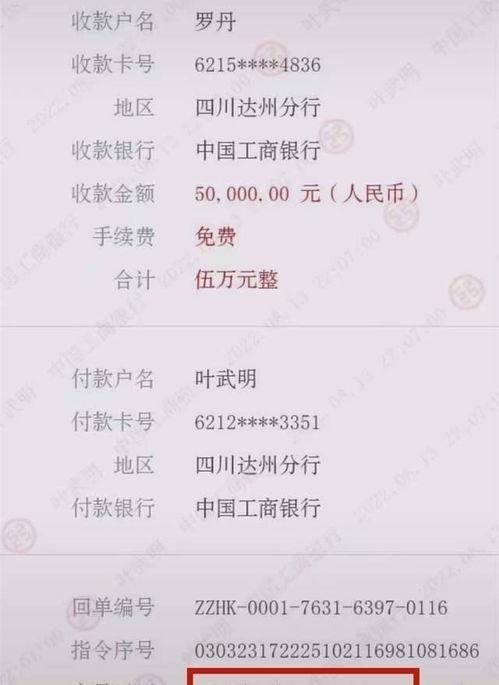 网红小乔爆料视频,视频内容大曝光！