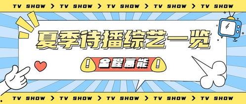 娱乐吃瓜大众,揭秘明星幕后故事