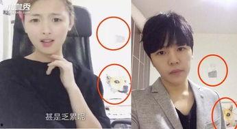 超越前男友爆料视频大全,超越前男友爆料视频大全，真相大起底！