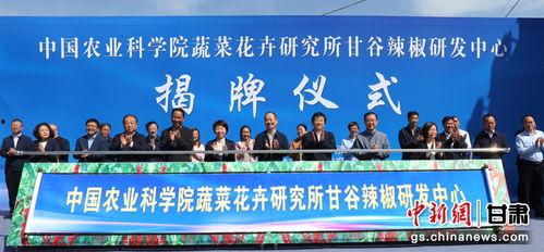 甘肃爆料天水新闻网视频,视频揭露当地民生问题