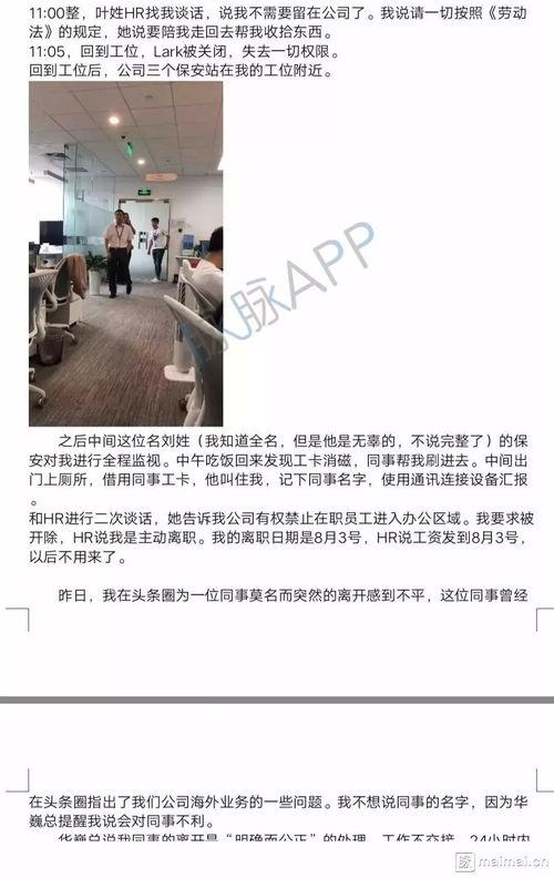 今日头条可以匿名爆料吗,揭秘匿名爆料功能，畅享言论自由新体验