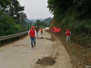 安化东坪爆料事件最新,真相追踪与网络舆论风暴