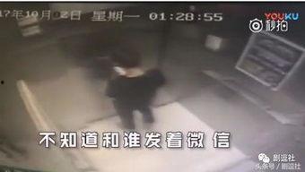 陈翔爆料视频大全下载,揭秘娱乐圈幕后真相