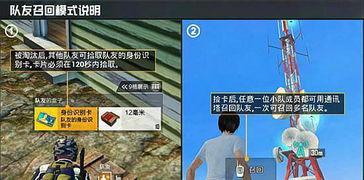 玩家爆料僵尸怎么玩视频,僵尸游戏视频攻略全解析