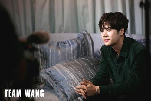 王嘉尔视频爆料最新消息,揭秘娱乐圈幕后真相！