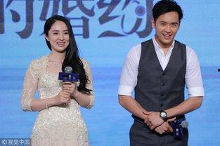 高云翔离婚最新爆料,最新爆料揭露惊人内幕