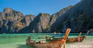 迷离沙滩在线观看