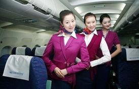 空姐爆料事件真相视频