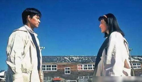 海岛网友爆料事件视频播放,事件视频引发热议，真相究竟如何？