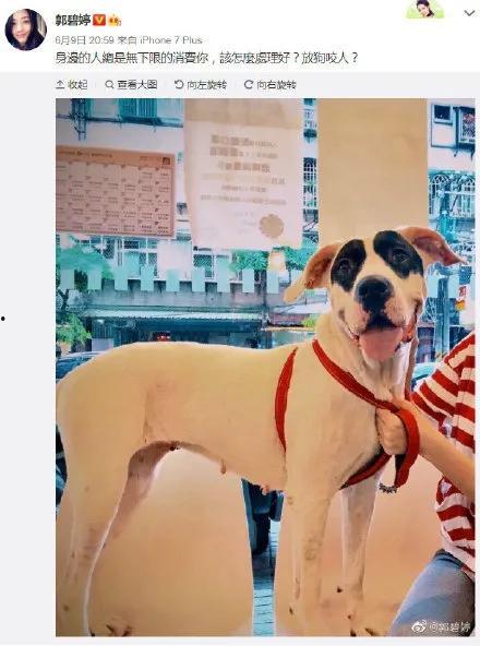 娱乐吃瓜郭碧婷微博,娱乐圈幕后故事大揭秘