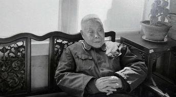 孙耀庭爆料溥仪视频,溥仪罕见视频背后的宫廷秘闻