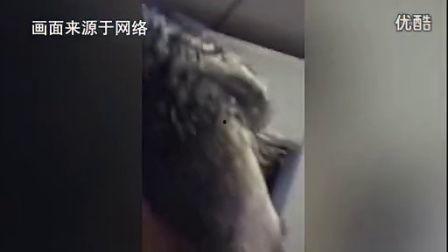 脐韩国高清在线观看,韩国高清在线观看脐文化魅力